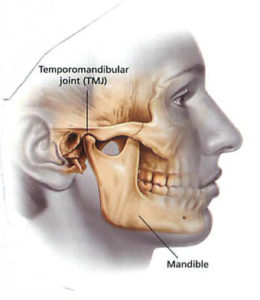 Plum Grove Dental Associates - TMJ Illustration of Anatomy